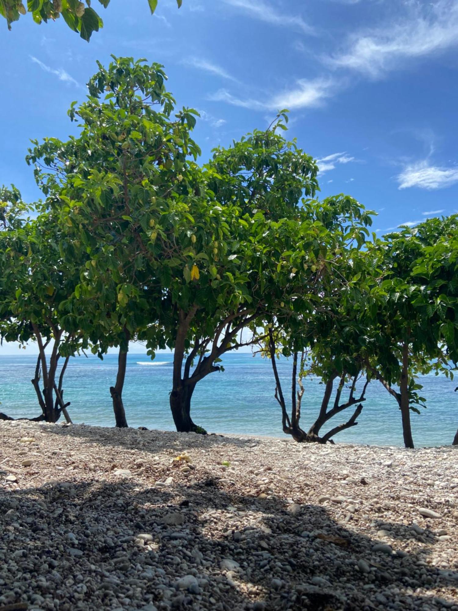 Hotel Al Mare Barahona ภายนอก รูปภาพ